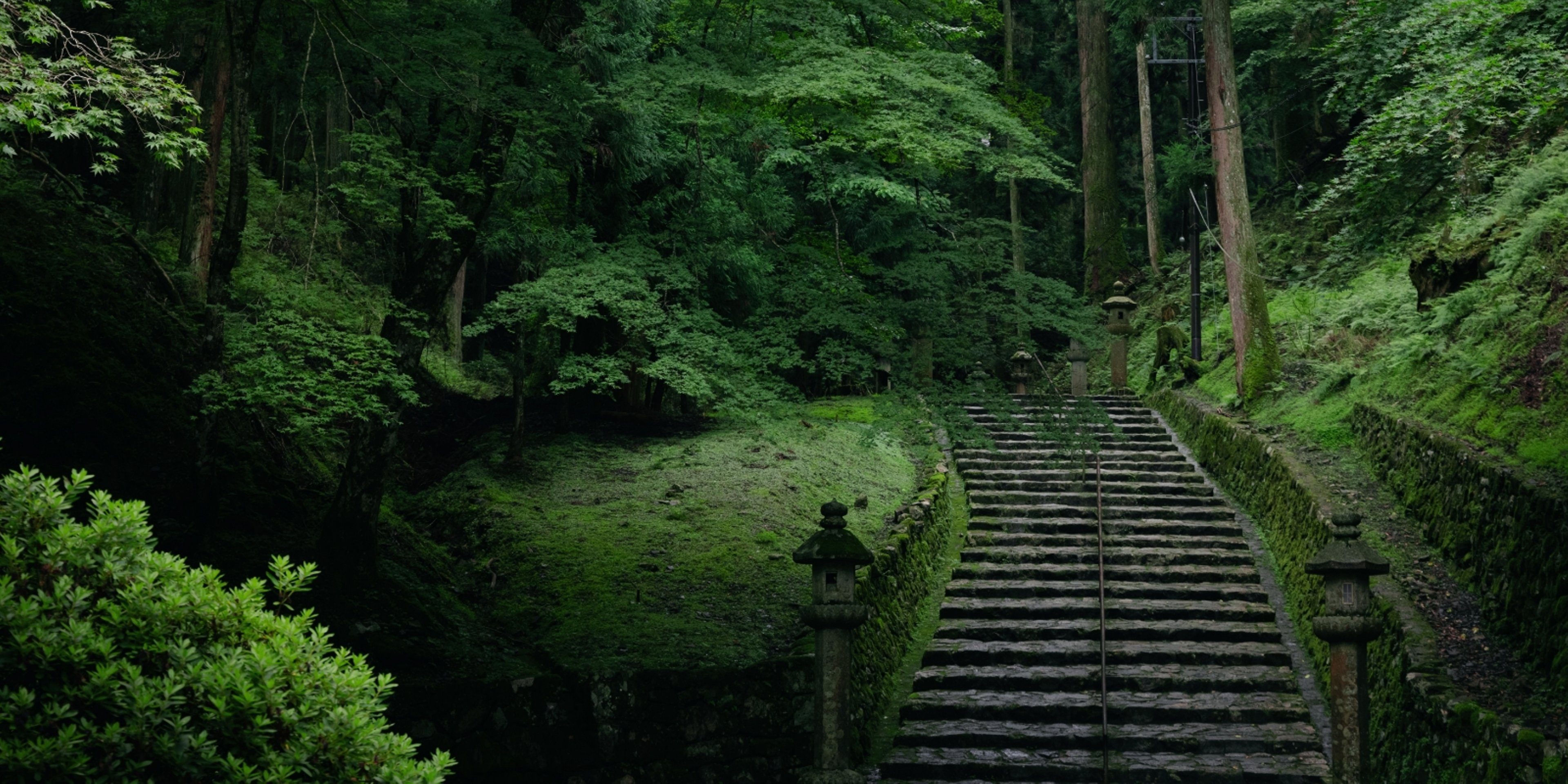 A photo of a mountain path leading to Jodoin